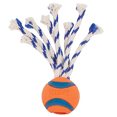 Chuckit Ultra Toss Dog Toy, Small Indoor and Outdoor Dog Toy for Dogs 0-20 Pounds