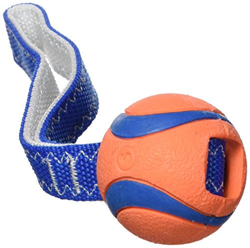 Chuckit! Small Ultra Tug
