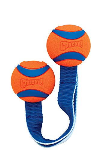 Chuckit! Medium Ultra Duo Tug