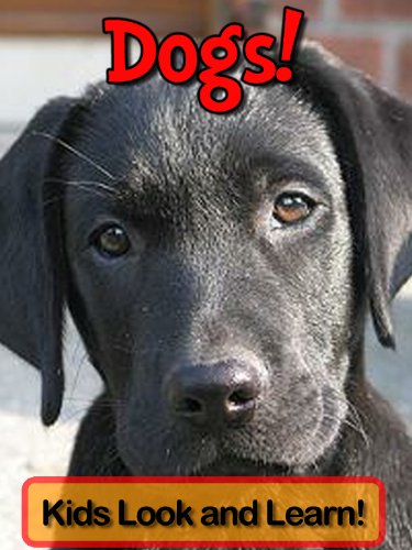 Dogs! Learn About Dogs and Enjoy Colorful Pictures - Look and Learn! (50+ Photos of Dogs)