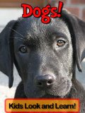 Dogs! Learn About Dogs and Enjoy Colorful Pictures - Look and Learn! (50+ Photos of Dogs)