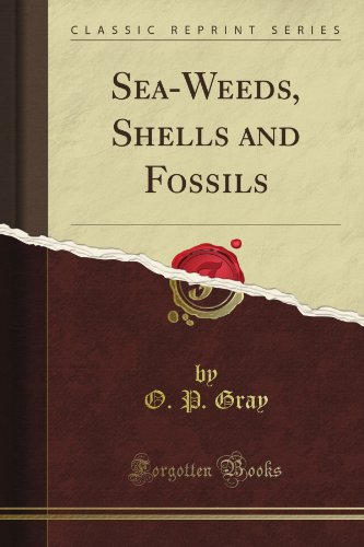Sea-Weeds, Shells and Fossils (Classic Reprint)