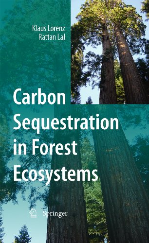 Carbon Sequestration in Forest Ecosystems