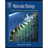 Molecular Biology - Understanding the Genetic Revolution (05) by 1977, David P Clark BA (honors)Christ's College Cambridge [Hardcover (2005)]