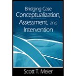 Bridging Case Concepturalization, Assessment, & Intervention (03) by Meier, Scott T [Paperback (2002)]