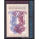 Biochemistry - Student Companion to Accompany Horton Principles of Biochemistry (4th, 06) by Scism, Allen [Paperback (2005)]