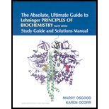 Absolute, Ultimate Guide to Lehninger, Principles of Biochemistry (Study Guide & Solutions Manual) (4th, 05) by [Paperback (2004)]