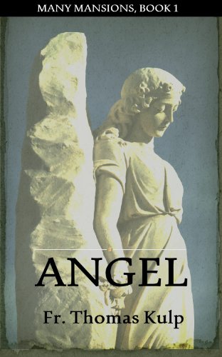 Angel (Book 1) (Many Mansions)