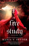 Fire Study (Soulfinders Book 3)