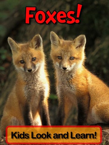 Foxes! Learn About Foxes and Enjoy Colorful Pictures - Look and Learn! (50+ Photos of Foxes)