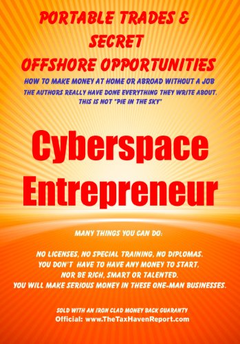 Cyberspace Entrepreneur Your Own Inbox Is Your University (PTSOO Book 9)