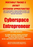 Cyberspace Entrepreneur Your Own Inbox Is Your University (PTSOO Book 9)