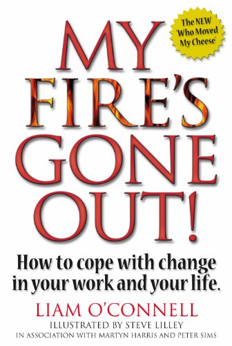 My Fire's Gone Out! - How to Cope With Change in Your Work and Life