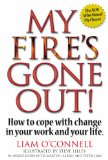 My Fire's Gone Out! - How to Cope With Change in Your Work and Life