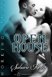 Open House (Working Stiffs Series Book 2)