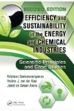 Efficiency and Sustainability in the Energy and Chemical Industries: Scientific Principles and Case Studies, Second Edition (Green Chemistry and Chemical Engineering)