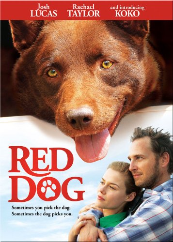 Book Cover Red Dog [DVD] [Region 1] [US Import] [NTSC]