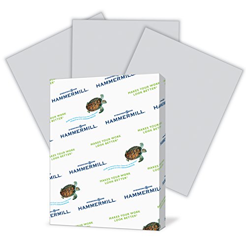 Hammermill Colored Paper, Gray Printer Paper, 20lb, 8.5x11 Paper, Letter Size, 500 Sheets / 1 Ream, Pastel Paper, Colorful Paper (102889R)