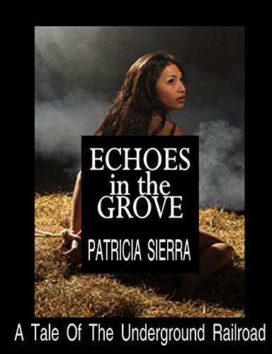 Echoes In The Grove: A Tale Of The Underground Railroad