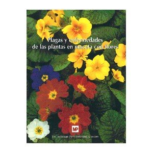 Plagas Y Enfermedades De Las Plantas En Maceta Con Flores. Precio En Dolares