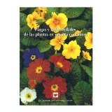 Plagas Y Enfermedades De Las Plantas En Maceta Con Flores. Precio En Dolares