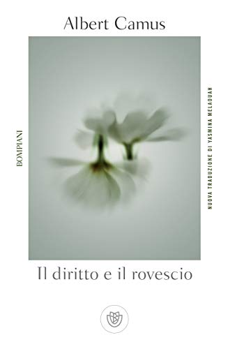 Il diritto e il rovescio (Tascabili. Saggi Vol. 433) (Italian Edition)