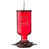 More Birds Elixir Hummingbird Feeder, Vintage Glass Medicine Bottle Hummingbird Feeder for Outdoors, 5 Feeding Stations, 13 Ounces