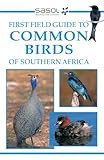 First Field Guide to Common Birds of Southern Africa (Field Guides)