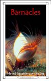 Barnacles: Hated Squatters of the Sea (15-Minute Books Book 327)
