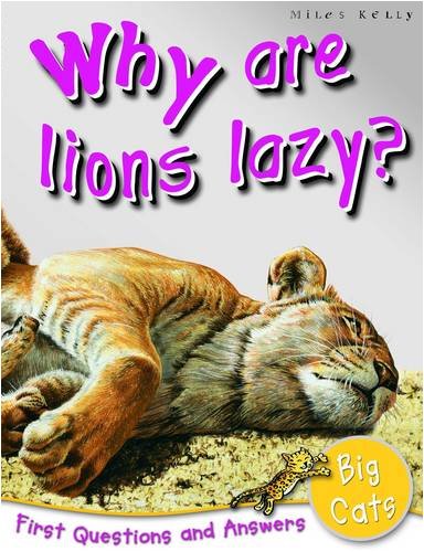 Big Cats: Why Are Lions Lazy? (First Questions And Answers)