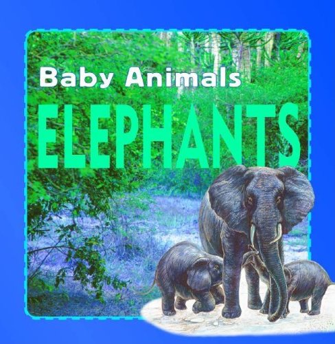 Elephants (Wild Baby Animals (Stargazer))