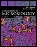 Introduction to Microbiology Second edition by Ingraham, John L. Ingraham and Catherine A. published by Brooks/Cole Hardcover