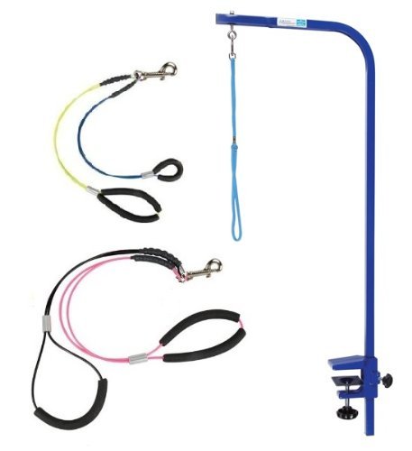 Downtown Pet Supply Dog Grooming Arm with Clamp and Grooming Loop, 2 Haunch, Blue - Adjustable, Steel Grooming Table Arm with Table Clamp, No Sit Haunch Holder Dog Grooming Restraint and Loop