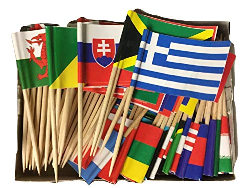 Book Cover Box of 100 Different World Flags Country Flags Toothpick Flags Perfect for the Olympics WindStrong®