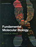By Lizabeth A. Allison - Fundamental Molecular Biology: 1st (first) Edition