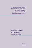 By William E. Griffiths - Learning and Practicing Econometrics: 1st (first) Edition