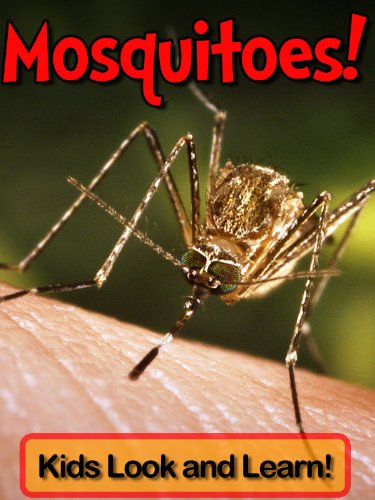 Mosquitoes! Learn About Mosquitoes and Enjoy Colorful Pictures - Look and Learn! (50+ Photos of Mosquitoes)