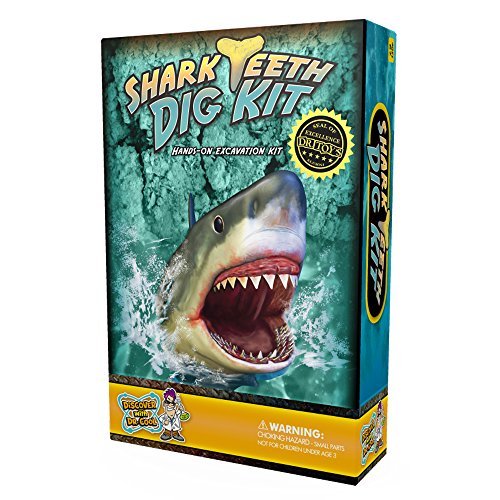 Book Cover Discover with Dr. Cool Shark Tooth Dig Kit - Excavate 3 Real Shark Teeth Specimens!