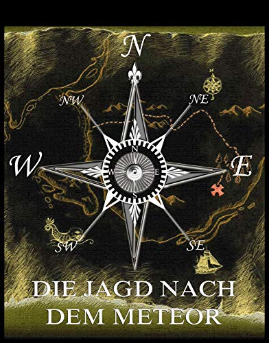 Die Jagd nach dem Meteor (German Edition)