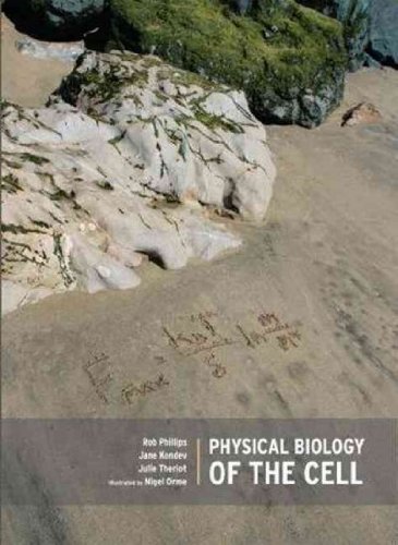 Physical Biology of the Cell [ PHYSICAL BIOLOGY OF THE CELL BY Phillips, Rob ( Author ) Nov-18-2008