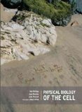 Physical Biology of the Cell [ PHYSICAL BIOLOGY OF THE CELL BY Phillips, Rob ( Author ) Nov-18-2008