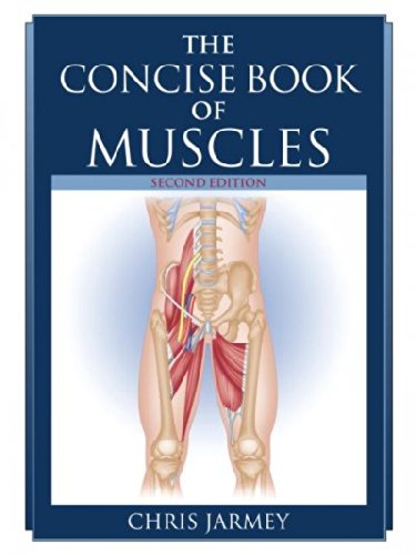The Concise Book of Muscles [ THE CONCISE BOOK OF MUSCLES BY Jarmey, Chris ( Author ) Aug-12-2008
