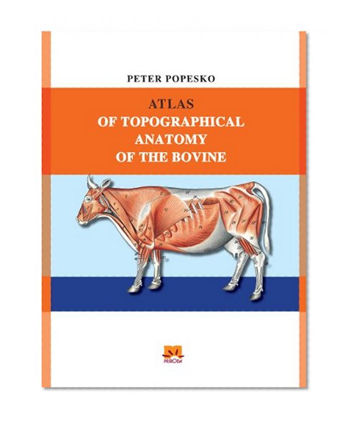 ATLAS OF TOPOGRAPHICAL ANATOMY OF THE BOVINE