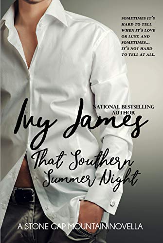 That Southern Summer Night (Stone Gap Mountain Series Book 1)