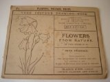 Vere Foster's Drawing Book F2 Flowers Foliage Fruit