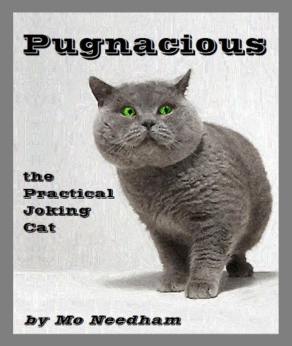 Pugnacious, the Practical Joking Cat