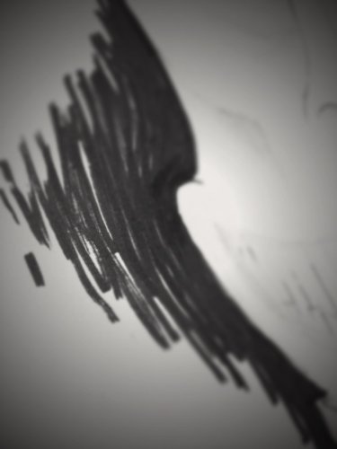 Searching for the Mothman: a Short Story