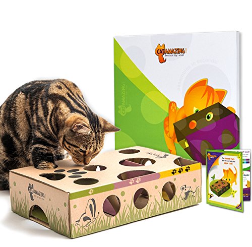 CAT AMAZING â€“ Best Cat Toy Ever! Interactive Treat Maze & Puzzle Feeder for Cats