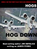 Hogs #2: Hog Down (Jim DeFelice's HOGS First Gulf War series)