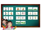 Yo-Yee Flashcards - Adjectives and Opposites Flash Cards - Set 1 - Vocabulary Picture Cards for Toddlers, Kids, Children and Adults